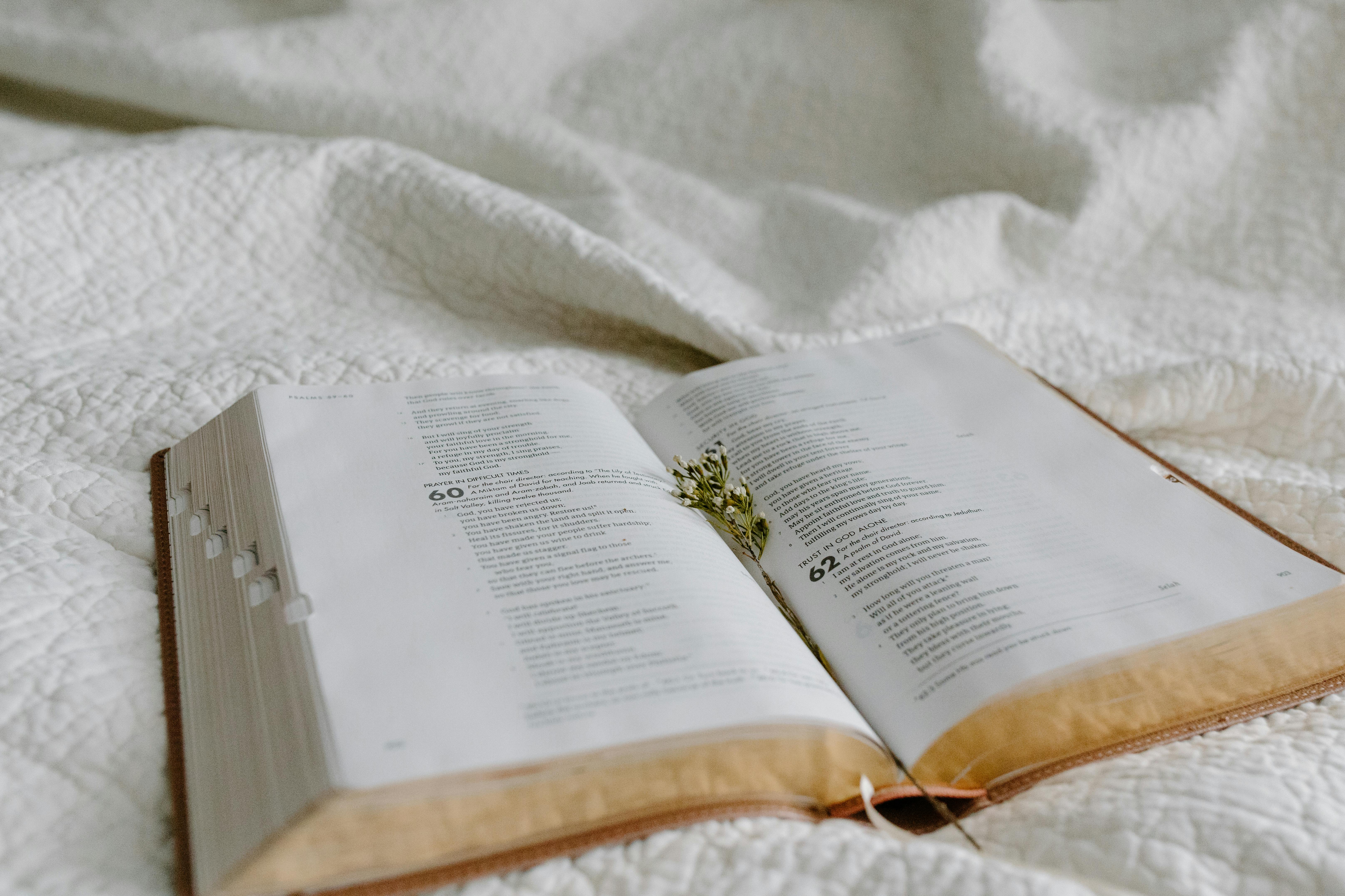 Bible study